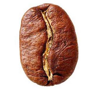 - 9 - Espécies e variedades de café: Arábica x Conilon (Robusta) Planta exótica que pertence à familia das Rubiáceas, do gênero Coffea, que engloba diversas espécies (cerca de 124), das quais apenas