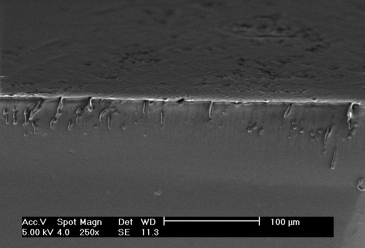 A Figura 4 apresenta as micrografias por MEV de amostras de poliuretanos.