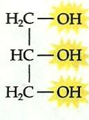 1. Triacilgliceróis 1.1 Glicerol e ácidos graxos Os óleos e as gorduras, de origem animal ou vegetal, são ésteres e, por isso, derivam de um ácido e de um álcool.