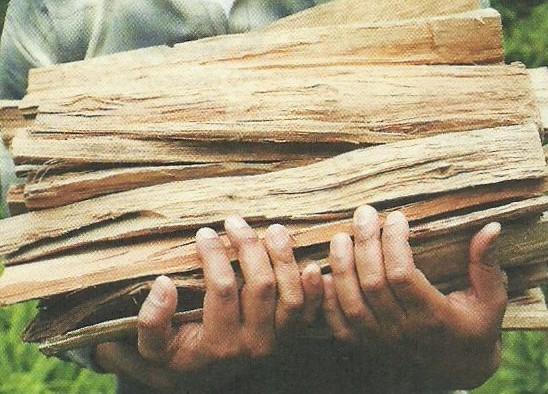 A celulose presente na madeira é usada para a fabricação de papel e a celulose encontrada no algodão é utilizada na fabricação de fibras têxteis industriais destinadas à confecção de roupas, cortinas