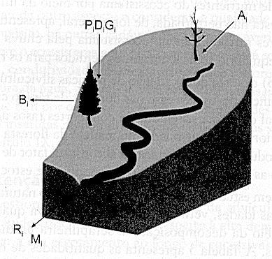 Processos naturais e antropogênicos de entrada, armazenamento,