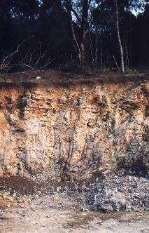 Características químicas e físicas dos solos utilizados para plantações de pinus e eucalipto no Brasil.