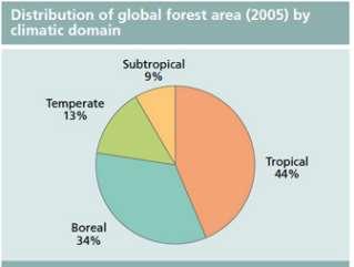 Florestas nativas: 3,7 bilhões ha (95,2%) - Florestas plantadas: 186,7 milhões ha (4,8%) Fonte: FAO Taxa de perda de