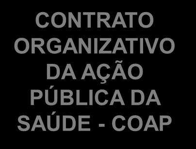 CONSELHOS DE SAÚDE PNS