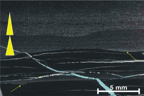 Figura 23 Fotomicrografia representando a microfácies M8 (siltito argiloso). Ocorre no perfil da Figura 4 referente ao trato de sistema de mar alto.