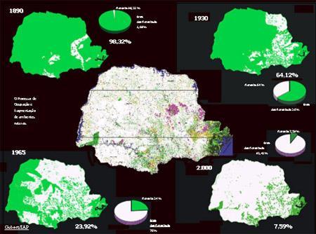 Estado do Paraná Quanto queremos destruir da Amazônia?