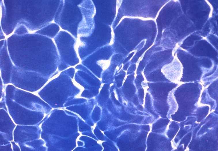 Hidrodinâmica da natação fundamentos
