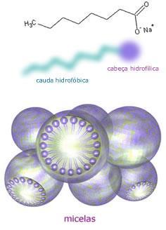 LIPÍDIOS São divididos em glicerídeos (óleos e gorduras) e cerídeos (ceras) Alta solubilidade em solventes orgânicos e baixa solubilidade em água.