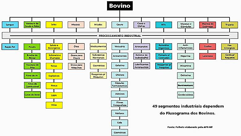 SBPC e ABC: Estima-se que, em razão de seu uso inadequado, existam hoje no Brasil 61