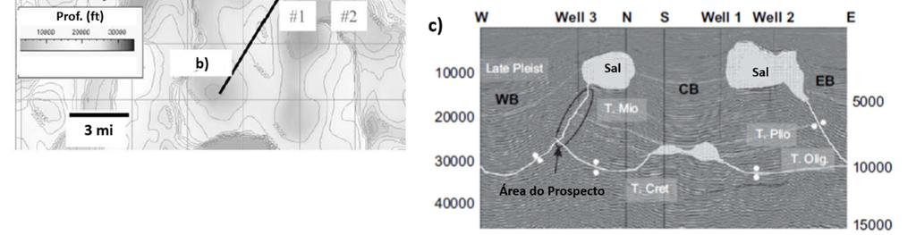 hipóteses: A aproximação do tempo inicial e final em que um corpo salino esteve presente trapeando os fluidos (e seu posicionamento), podem prover estimativas de limites para a retenção de HC; Quanto