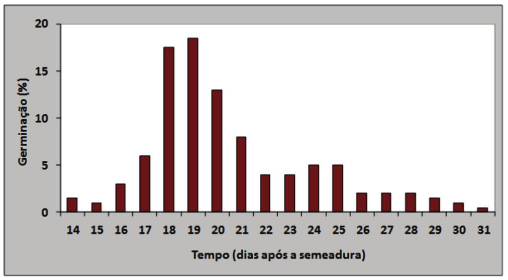 Armazenamento Sementes de mogno recém-colhidas apresentam germinação elevada (95%), porém quando armazenadas em condições naturais da Amazônia a diminuição é significativa, decrescendo em 30 dias
