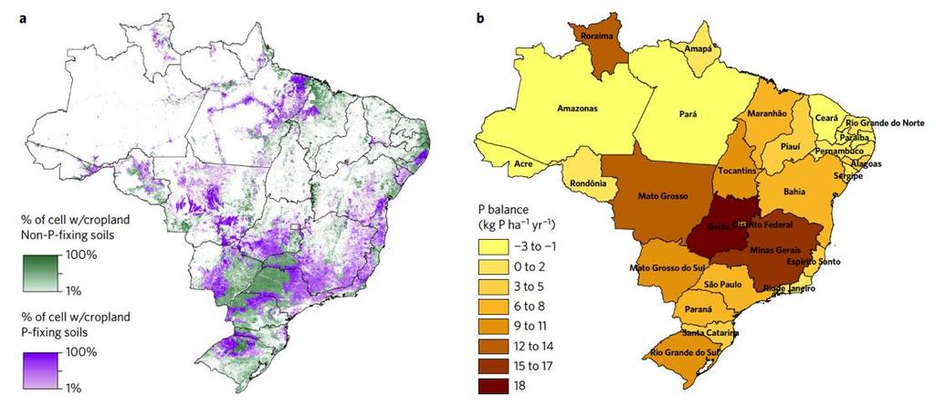 Sucesso do MT: (1) Grandes áreas e terras baratas (2) Clima