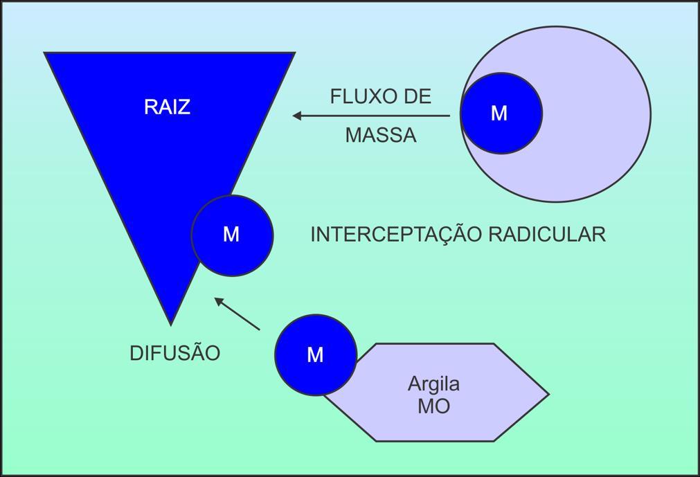 Representação esquemática dos mecanismos