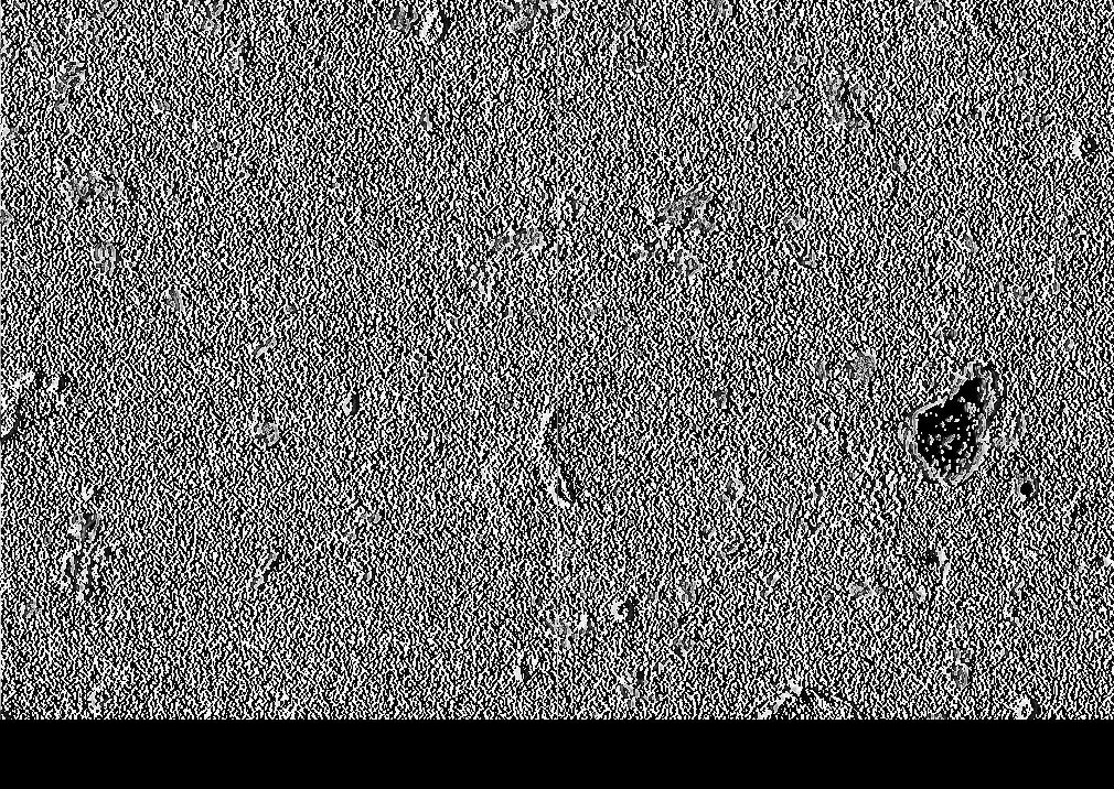 3.2. Microscopia eletrônica de varredura As micrografias dos corpos de prova A1 e A2 (Figura 3a e Figura 3c,