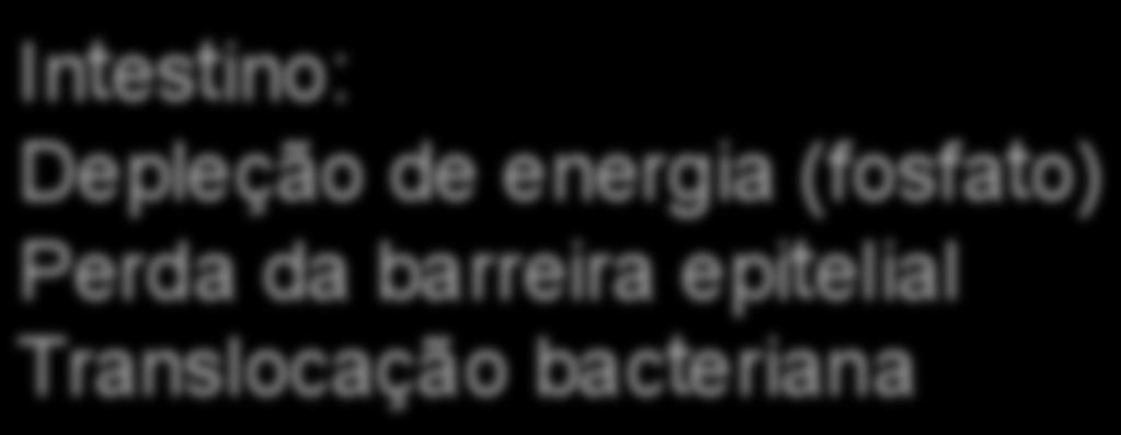 aguda Limita atividade de enzimas proteolíticas Intestino: