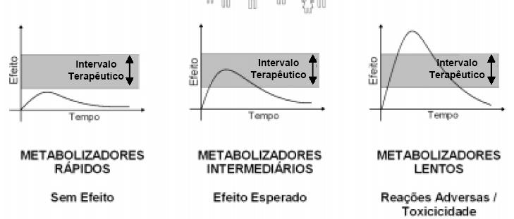 Farmacogenética: princípios,