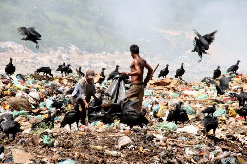 A espécie humana é a única que produz lixo.