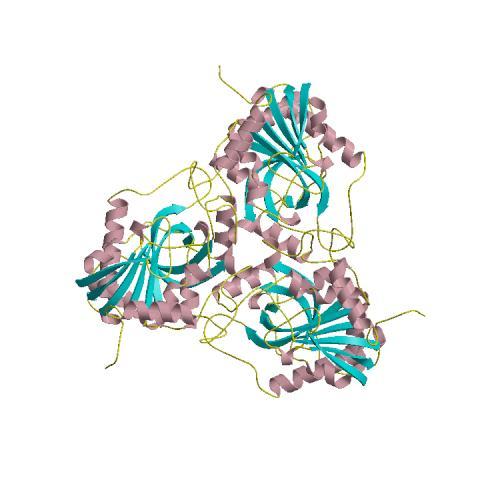 Cristalografia de Proteínas Etapas para resolução da estrutura 3D de macromoléculas biológicas por cristalografia 1. Cristalização.