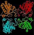 uk/pdbsum/  Estrutura ristalográfica de uma enzima contendo um aminoácido com Se PDB: 1gp1 selenocisteína cisteína 26