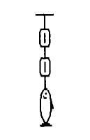 4) Quais das seguintes figuras melhor representa o diagrama de corpo livre, com as magnitudes relativas corretas, de uma pessoa em um elevador que está subindo com rapidez diminuindo?