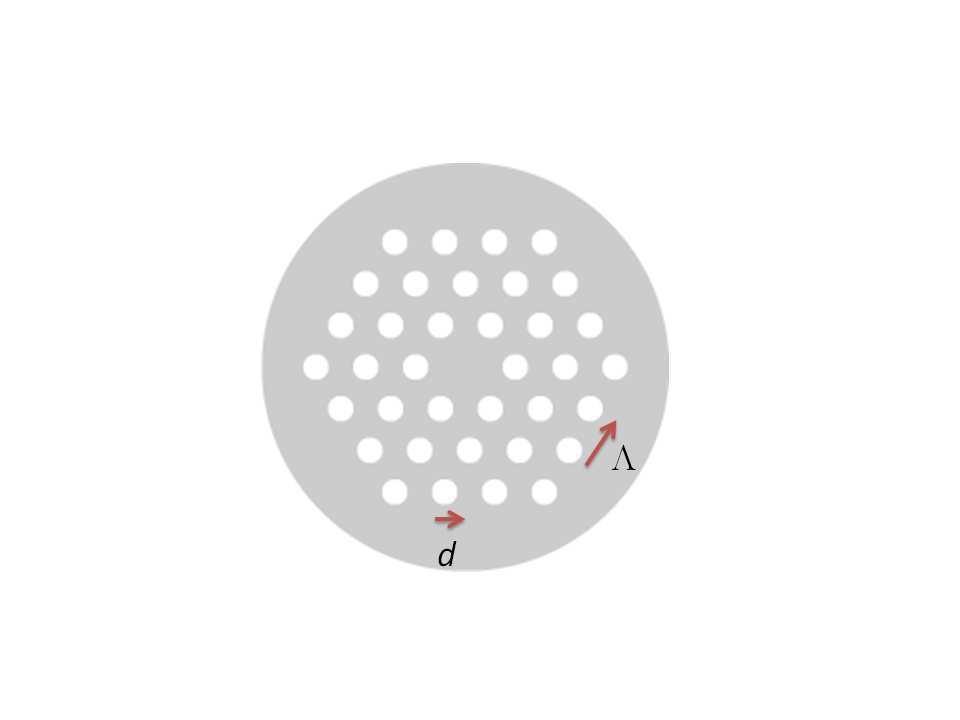 Capítulo 1. Introdução 19 Figura 1.3: Estrutura da face de uma fibra microestrurada, onde d é o diâmetro dos buracos e Λ é a distância do entres dois buracos medidos a partir do seu centro.