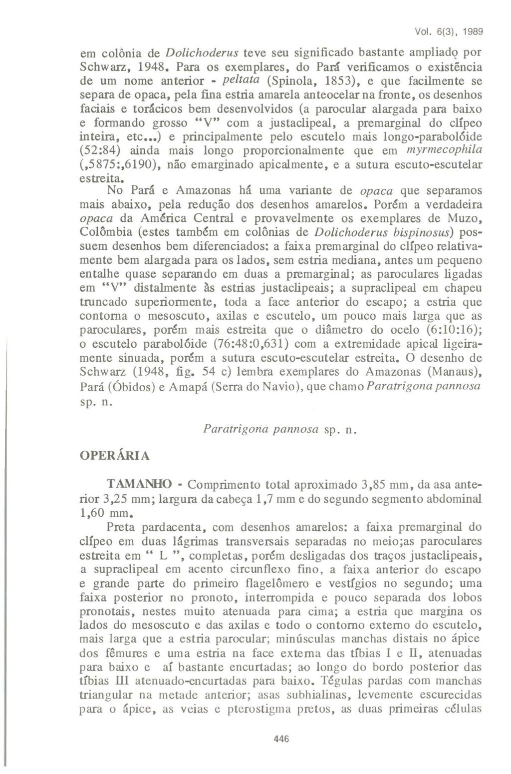 VaI. 6(3). 1989 em colônia de Doiichoderus teve seu significado bastante ampliad<? por Schwarz, 1948.