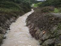 Riscos Naturais Tipo de riscos: Incêndio Inundações