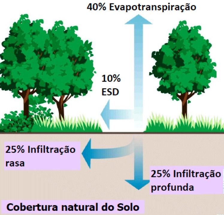 REGIME DE ESCOAMENTO NATURAL FONTE: In stream corridor restoration: Principles, Processes