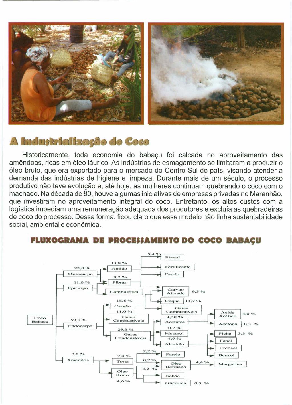 Historicamente, toda economia do babaçu foi calcada no aproveitamento das amêndoas, ricas em óleo láurico.