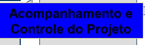 Acompanhamento e Controle do Projeto Revisão e Inspeção Produção e Preparação de Documentos