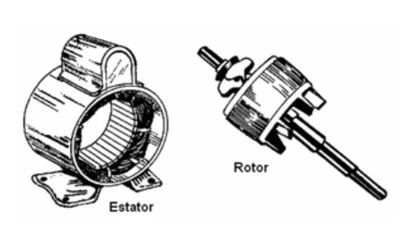 16 2.3 Os motores de Indução Uma característica que distingue os motores de indução dos outros tipos de motores é que os motores de indução são máquinas que possuem excitação única.