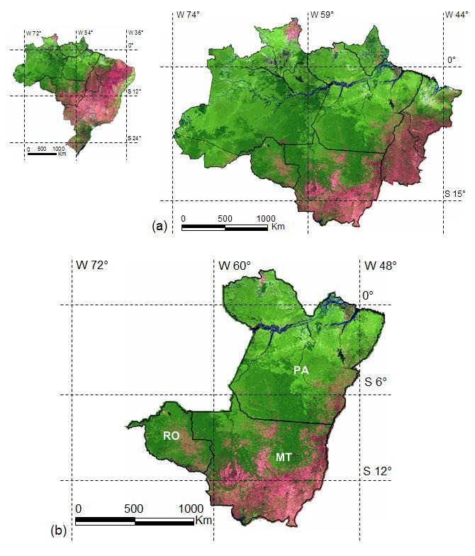 um mapa de grade regulares (mapa de células) com tamanho 10km x 10km para os estados do Mato Grosso, Pará e Rondônia; (ii) selecionar amostras, ao acaso, em grades regulares (células); (iii)