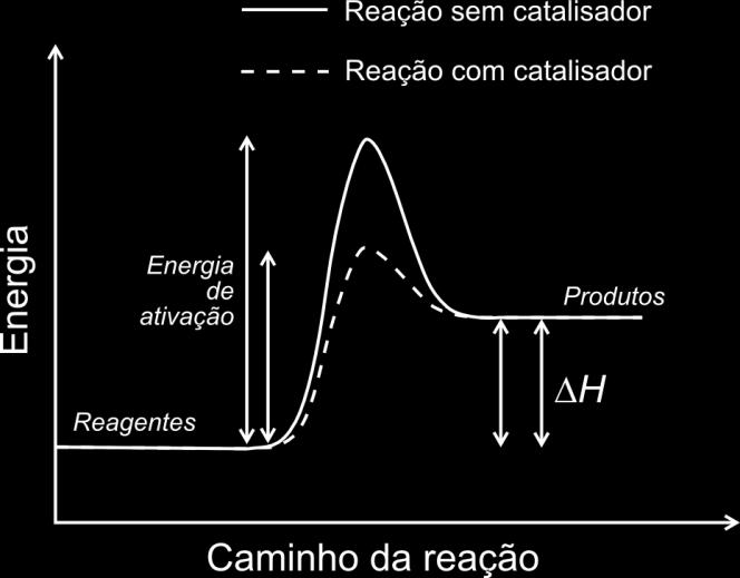 A concentração do íon hidrogênio