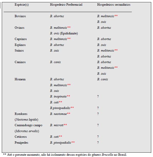 As principais espécies de Brucella spp e seus hospedeiros preferenciais Fonte: Gomes M 2013 Caracteristicas de espécies e biovariedades de Brucella sp.