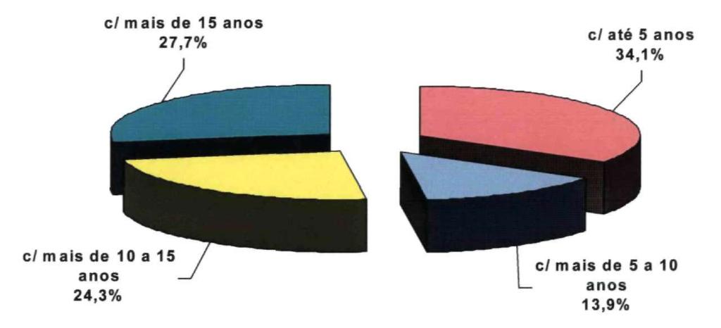 Rede Pública Total Estimativa da Distribuição % do Número de Professores por Tempo