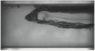Desse modo, somente a fase líquida é visualizada pela câmera. A figura 3 exemplifica uma imagem de um escoamento bifásico ar-água capturada com esta técnica.