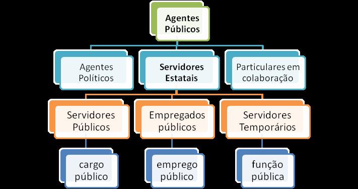 serviços (a exemplo de um jurista famoso que é contratado para fazer um parecer); Concessionários e permissionários (os que trabalham nas concessionárias e permissionárias de serviço público,