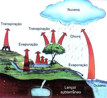 Ciclo da água Ciclo Biogeoquímicos Ciclo hidrológico curto: evaporação, condensação e precipitação sob a forma de chuva