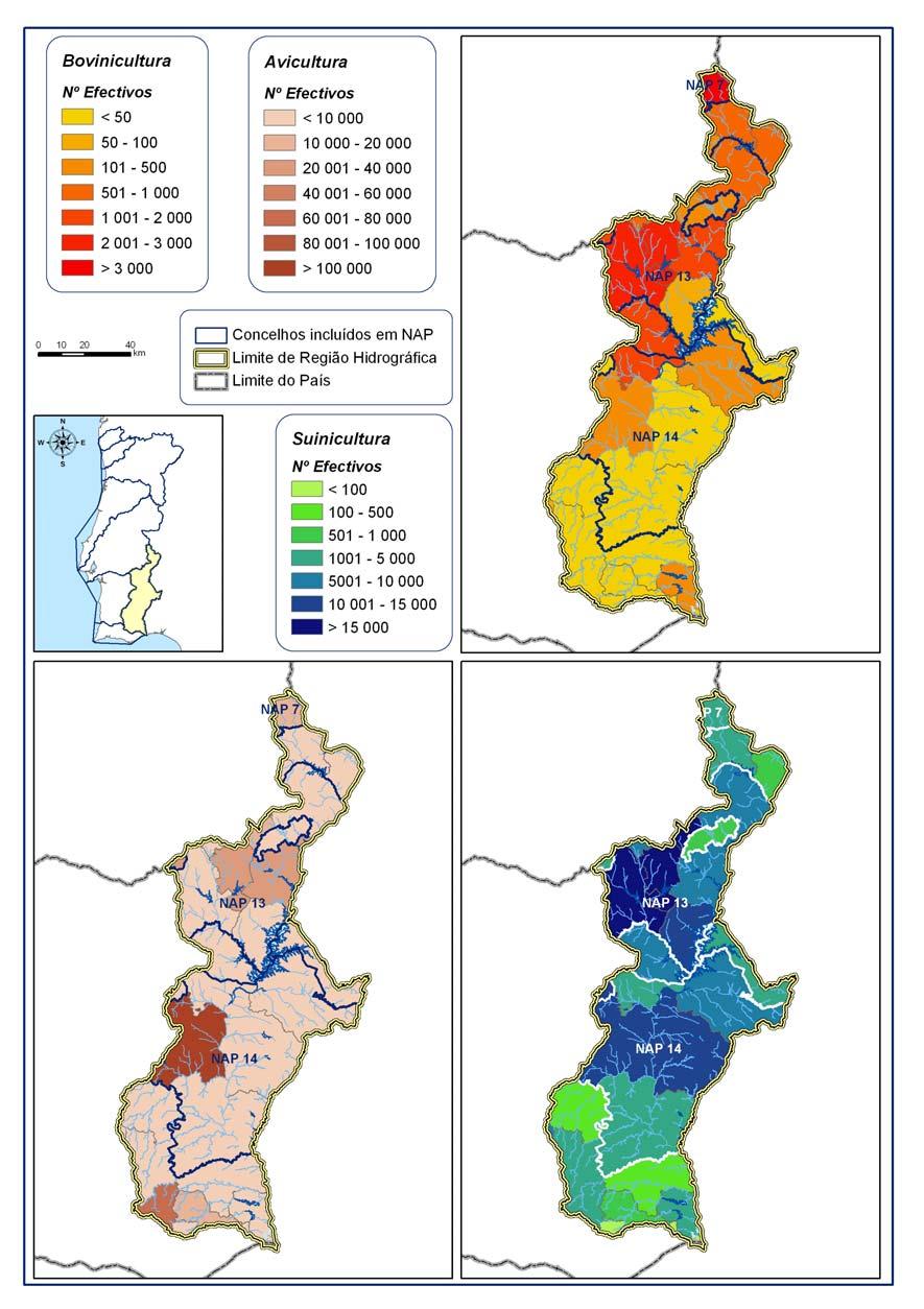 Figura 13 Efectivo pecuário referente à bovinicultura (regime intensivo, produção de leite), à avicultura e à suinicultura na