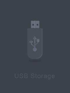 MODO USB Quando o equipamento é conectado a um computador via conexão USB o seguinte menu aparecerá: Storage O computador reconhecerá o cartão de memória do equipamento e poderá