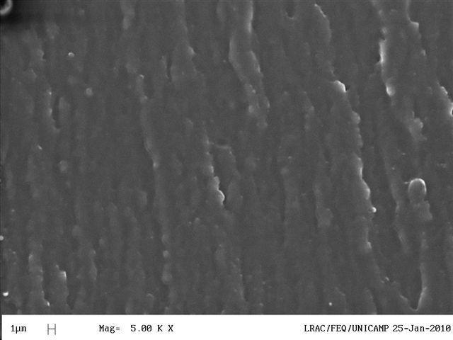 Figura 3 Imagem obtidas por microscopia eletrônica de varredura da superfície dos filmes de amido extrudados e soprados 5000x 4 Conclusão A produção de filmes flexíveis compostos à base de amido