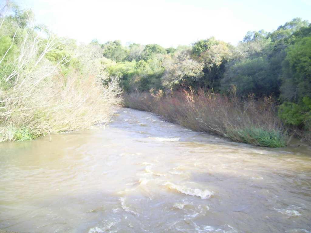 contemplação dos visitantes. Arroio Santa Barbara São Luiz Gonzaga Espaço Público destinado à pecuária.