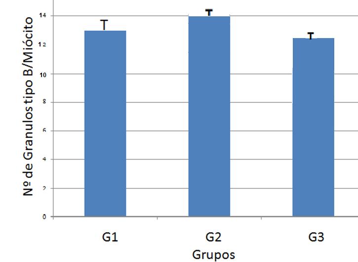 34 4.2.3 Número de grânulos tipo B por miócito Os valores das médias e desvios-padrão relativos ao número de grânulos de ANP, tipo B por miócito nos 3 grupos estudados estão apresentados na figura 10.