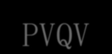 PVQV Ações desenvolvidas na empresa
