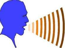 Comunicação Oral: são as ordens, pedidos, conversas, debates, discussões.