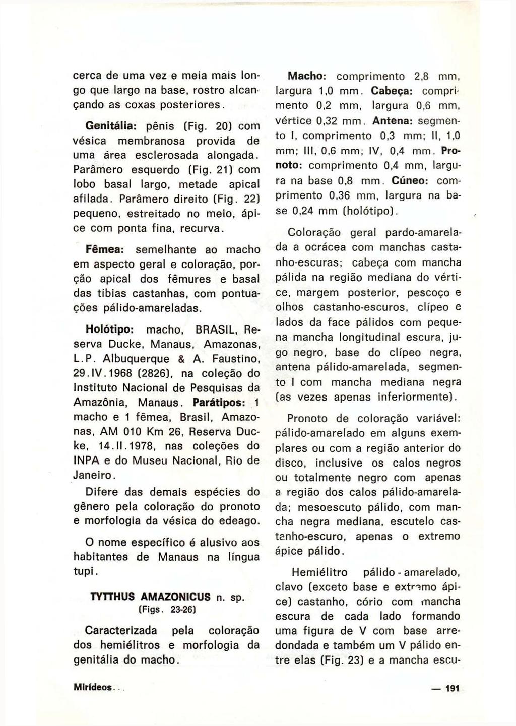 cerca de uma vez e meia mais longo que largo na base, rostro alcan çando as coxas posteriores. Genitália: pênis (Fig. 20) com vésica membranosa provida de uma área esclerosada alongada.