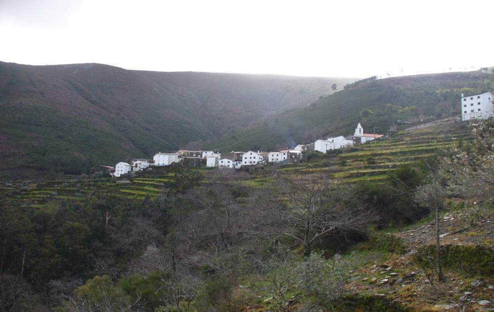 Apesar da chuva e neve que se tinham verificado nos dias anteriores, o dia estava muito agradável, sendo possível correr só de camisola, sem recurso a muita roupa térmica.