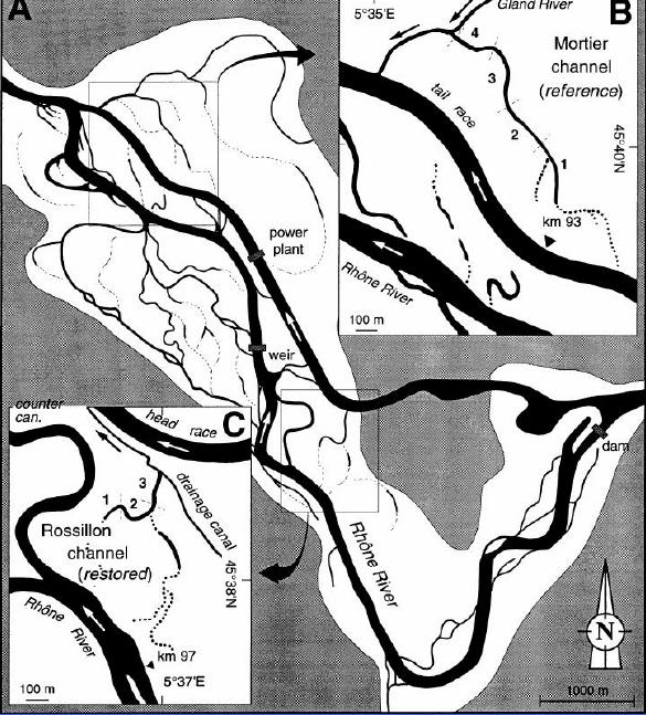 Experiência de recuperação do Rio Rhône (França) : (1) preservar as margens do rio e sua heterogeneidade; (2) dar especial atenção a preservação ou recuperação
