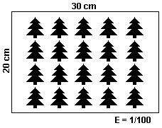 E = 1cm 100 cm 1m 30m 1cm 1m 20 cm Xm 20m X = 20m A = L x L = 20 x 30 = 600m 2 20 PINHEIROS 600 :