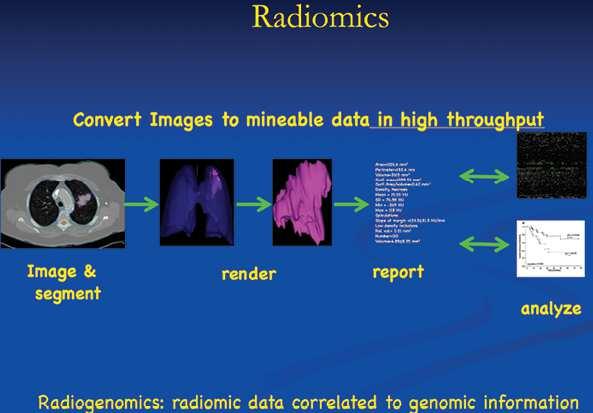 Reforçam a importância das imagens médicas na investigação das